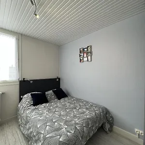 Le Pont Jumeau - T4 Proche Airbus Appartement Toulouse